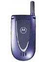 Best available price of Motorola V66i in Usa